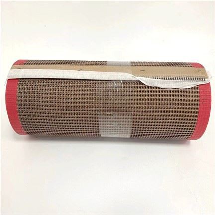 পিটিএফই জাল পরিবাহক বেল্ট